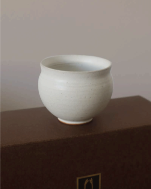Japanese Porcelain Pot